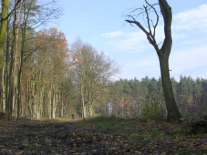 CTF-Seefeld 2008 218